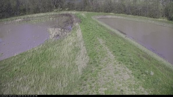 Cell 4 to Basin_24-04-30_17-01-27-36