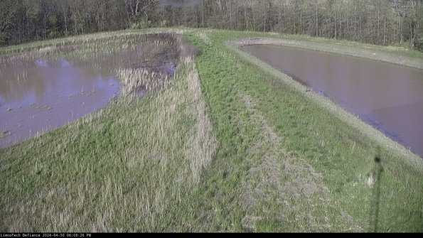 Cell 4 to Basin_24-04-30_18-08-27-34