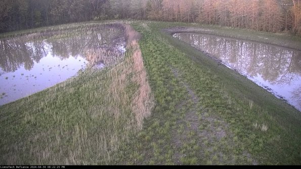 Cell 4 to Basin_24-04-30_20-22-26-36