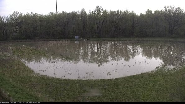 Cell 4_24-04-30_08-05-06-35