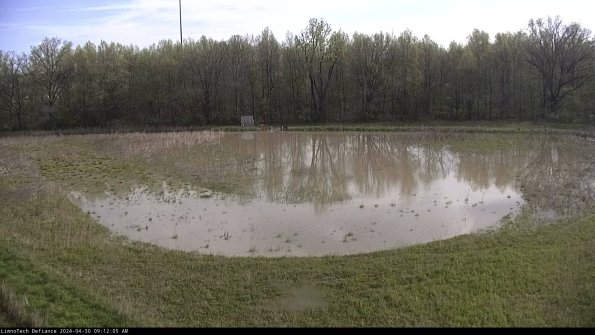 Cell 4_24-04-30_09-12-06-35