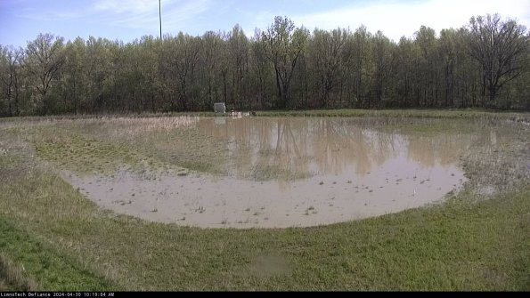 Cell 4_24-04-30_10-19-05-32