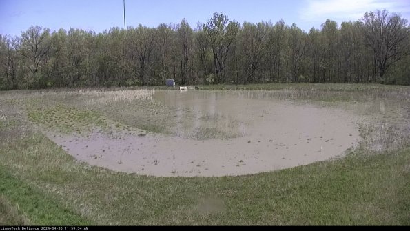 Cell 4_24-04-30_11-59-35-35