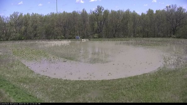 Cell 4_24-04-30_12-33-04-34