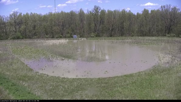 Cell 4_24-04-30_14-13-31-33