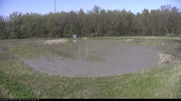 Cell 4_24-04-30_17-00-57-33