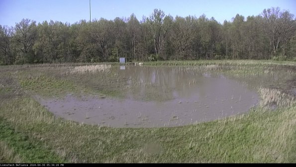 Cell 4_24-04-30_17-34-27-32