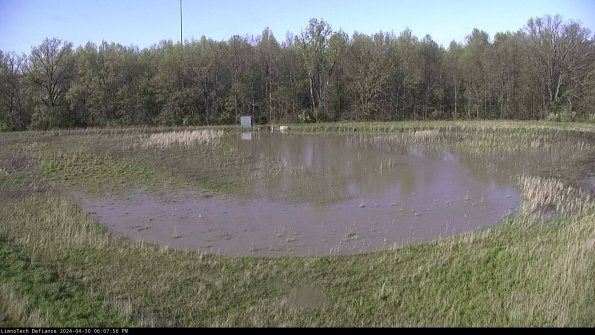 Cell 4_24-04-30_18-07-57-34