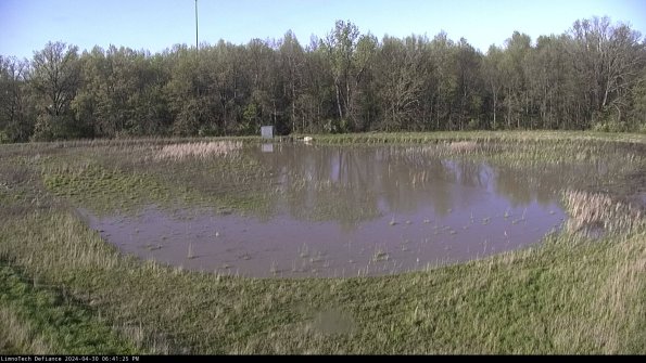 Cell 4_24-04-30_18-41-26-33