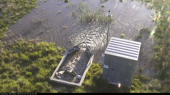 Flume_24-04-30_19-46-51-34