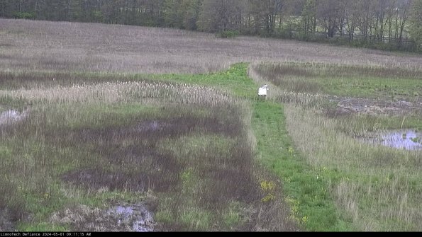 Cell 1 to 2_24-05-01_09-11-16-32