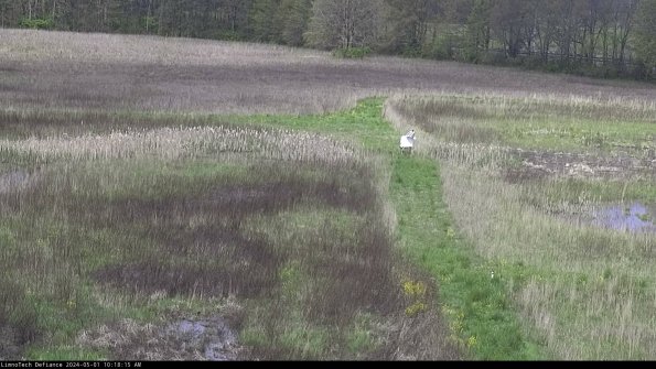 Cell 1 to 2_24-05-01_10-18-16-33