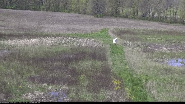 Cell 1 to 2_24-05-01_11-58-45-32