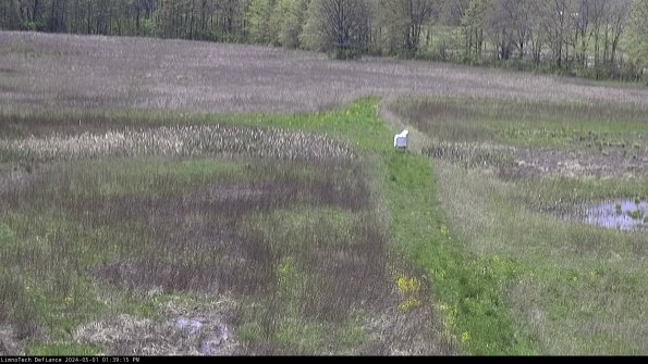 Cell 1 to 2_24-05-01_13-39-16-35