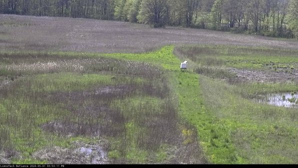 Cell 1 to 2_24-05-01_15-53-12-33