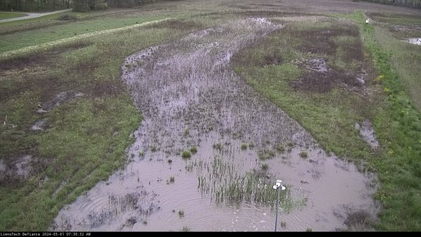 Cell 1_24-05-01_07-30-33-32