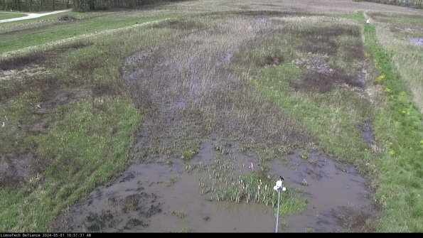 Cell 1_24-05-01_10-51-32-33