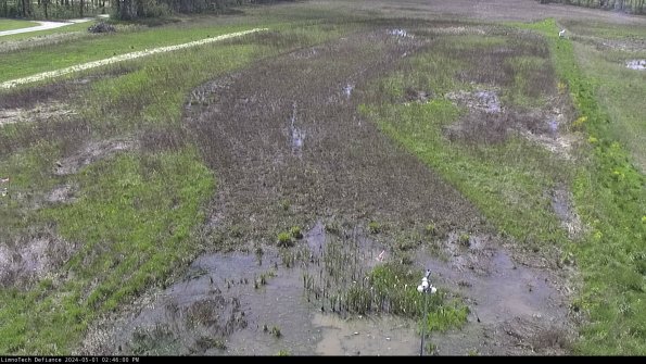 Cell 1_24-05-01_14-46-01-31