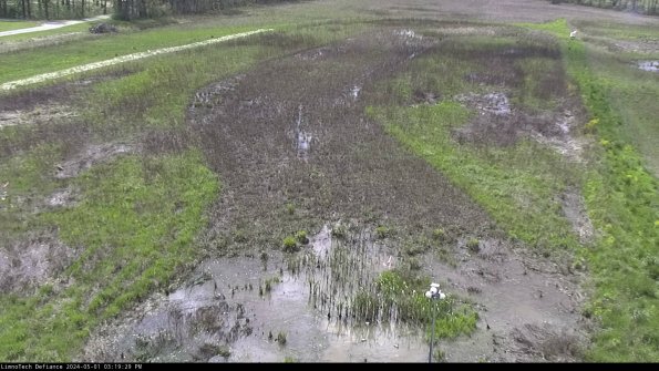 Cell 1_24-05-01_15-19-30-33