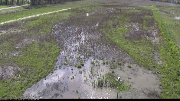 Cell 1_24-05-01_15-52-58-32