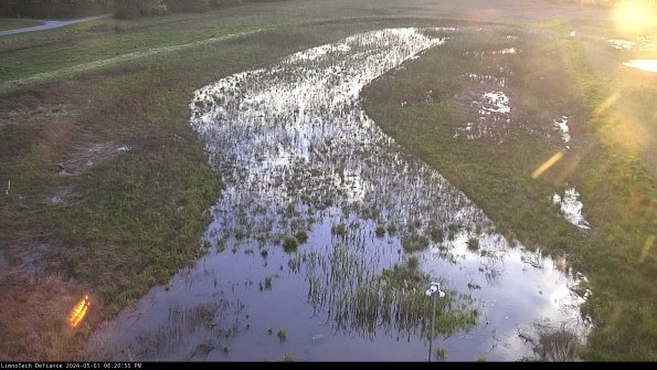 Cell 1_24-05-01_20-20-56-31