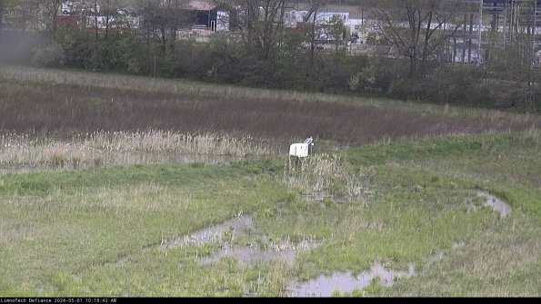 Cell 2 to 3_24-05-01_10-18-42-49