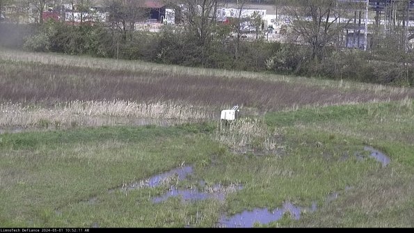 Cell 2 to 3_24-05-01_10-52-12-37