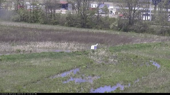 Cell 2 to 3_24-05-01_12-32-41-50