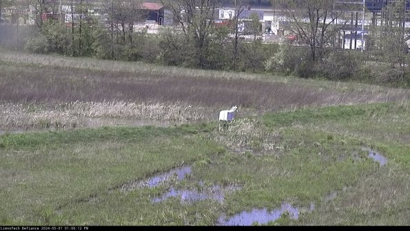 Cell 2 to 3_24-05-01_13-06-12-46