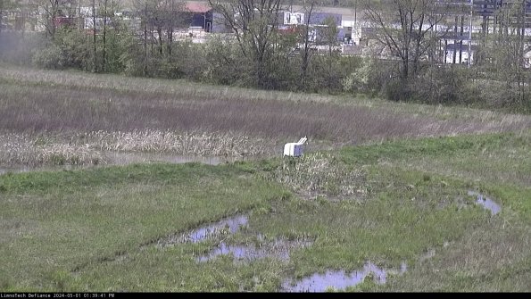 Cell 2 to 3_24-05-01_13-39-42-41