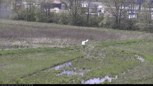 Cell 2 to 3_24-05-01_14-46-41-35