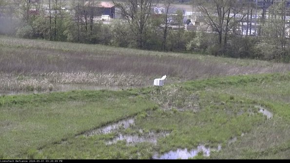 Cell 2 to 3_24-05-01_15-20-10-41