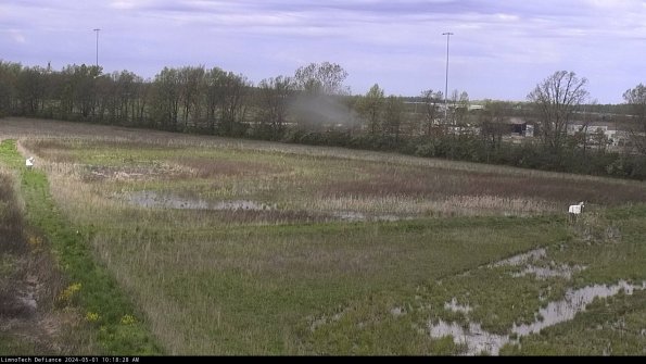 Cell 2_24-05-01_10-18-29-41