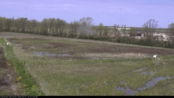 Cell 2_24-05-01_10-51-59-35