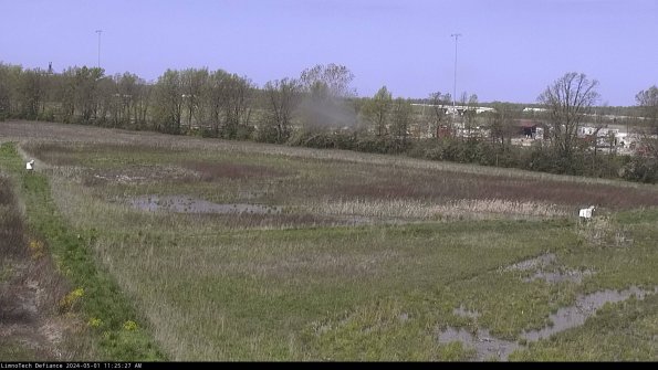 Cell 2_24-05-01_11-25-28-35