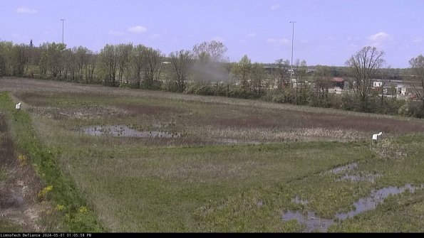 Cell 2_24-05-01_13-05-59-34