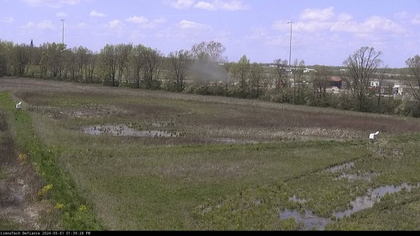 Cell 2_24-05-01_13-39-29-36