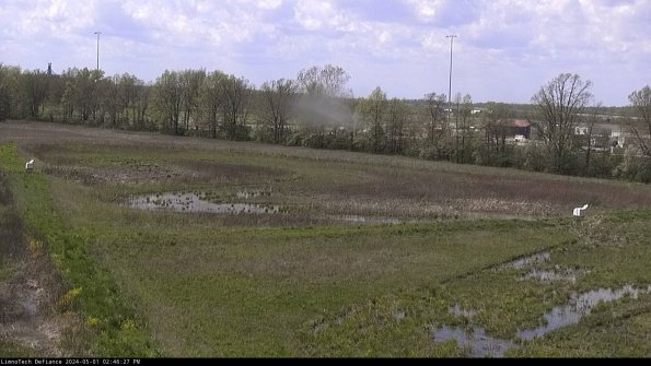 Cell 2_24-05-01_14-46-28-34