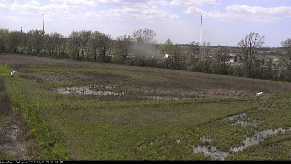 Cell 2_24-05-01_15-53-25-41