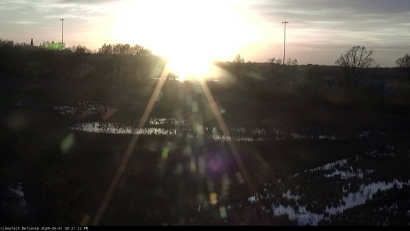 Cell 2_24-05-01_20-21-23-34