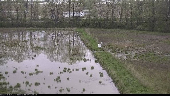 Cell 3 to 4_24-05-01_07-31-42-35