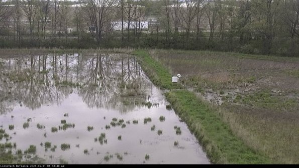 Cell 3 to 4_24-05-01_08-38-41-32