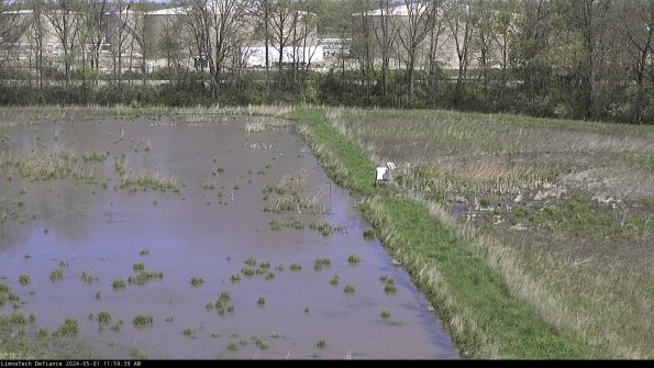 Cell 3 to 4_24-05-01_11-59-40-32