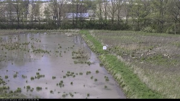 Cell 3 to 4_24-05-01_15-54-07-32