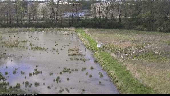 Cell 3 to 4_24-05-01_16-27-37-34