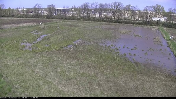 Cell 3_24-05-01_11-25-56-31