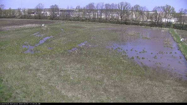 Cell 3_24-05-01_11-59-26-33