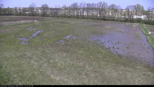 Cell 3_24-05-01_12-32-56-32