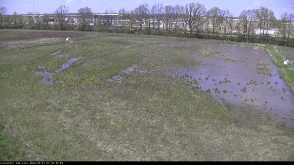 Cell 3_24-05-01_13-06-27-34