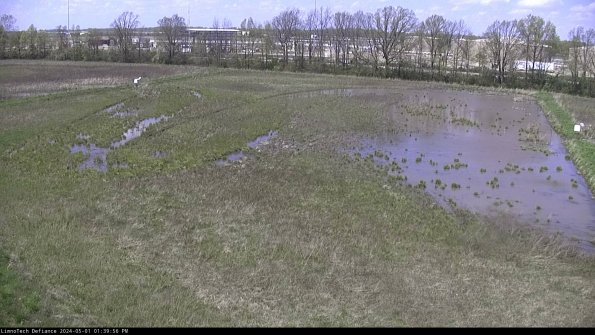 Cell 3_24-05-01_13-39-57-36